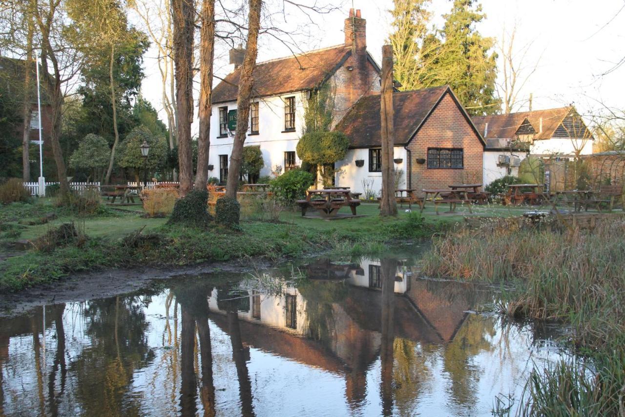 Lane End Cottage Ovington (Hampshire) Exterior foto