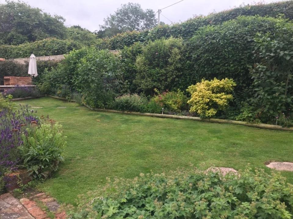 Lane End Cottage Ovington (Hampshire) Exterior foto