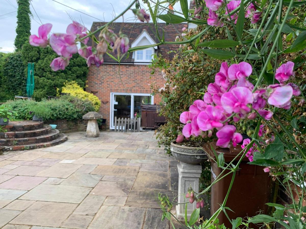 Lane End Cottage Ovington (Hampshire) Exterior foto